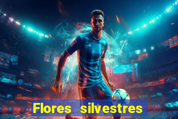 Flores silvestres brasileiras 25